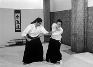 Jo Taijutsu